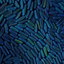 Tony Fey's Cerulean Swells -France and So Furniture JRO 3301 5 b5d5d819 3668 4ca2 975f 9367dd180237