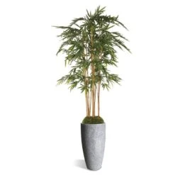 Bamboo Tree In Kawa Planter -France and So Furniture Kawa Bamboo White 635x635 5c78f79a 1126 4e2e 9a88 8976afe54e82