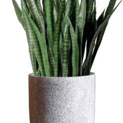 Sansevieria In Kawa Planter -France and So Furniture Kawa SanseveriaBudget White CU1 Rev1 635x635 3dabd587 d09e 422a 8953 c61d9aa972c8
