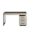 Nina Magon DuChamps Writing Desk