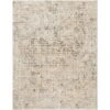 Loloi Theia Multi / Natural 5'-0" X 8'-0" Area Rug