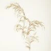 S/2 Weeping Willow Wall Decor-Gold Leaf