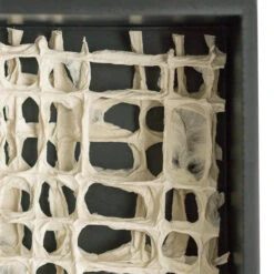 Shadow Box Rectangle W/Paper -France and So Furniture art2983 48 alt1 635x635 cc2ec07f bdcf 45c1 851b ebc2d116a096