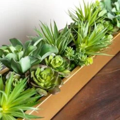 Desert Echeveria In Rectangle Planter -France and So Furniture custom gold planter succulent mix alt2 635x635 dac0ac56 d23c 44ab afb1 03d89545415b