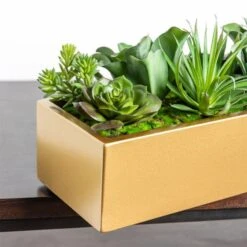 Desert Echeveria In Rectangle Planter -France and So Furniture custom gold planter succulent mix alt3 635x635 b1b07c17 9820 4de3 9b16 fabfbe2eb1a4