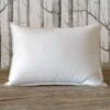 Amor Amor Down Pillow