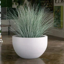 Isabella Planter -France and So Furniture fg9642 16w alt2 revised1 1200x1200 2a1f6f9e 2df1 4c0f 80a3 9408698d4ad3