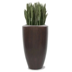 Sansevieria Barrel Plant -France and So Furniture hy1500 lg 1500x1500 f91bacba b2f2 4d56 b5fa 67fb99270871