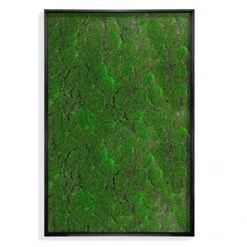 Green Wall -France and So Furniture hy1524 37 2000x2000 206ef767 9156 40ec 8532 56a5a5859e12