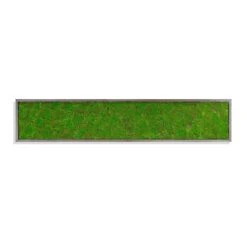 Green Wall -France and So Furniture hy1537 62 1500x1500 f268d1e2 2872 4673 95b4 8a53018cfa3b