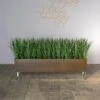 Liriope Grass In Rectangle Planter With Legs