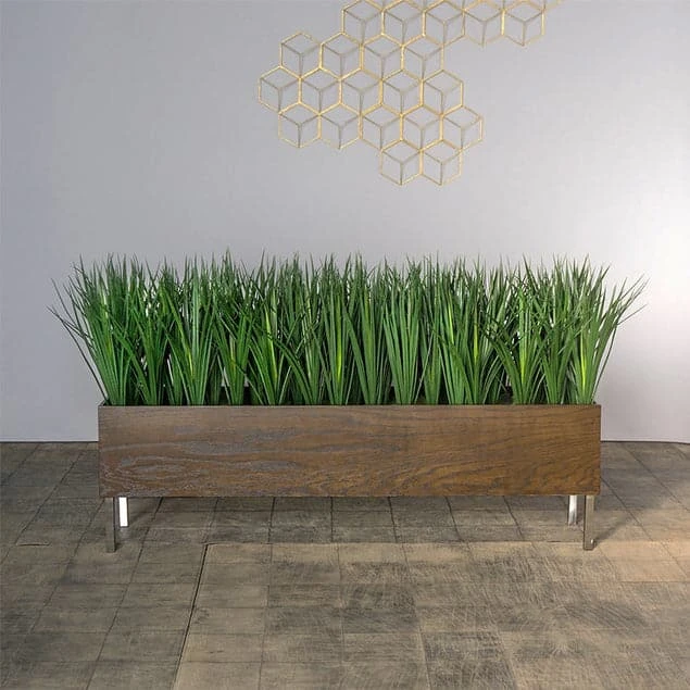 Liriope Grass In Rectangle Planter With Legs 1 Liriope Grass In Rectangle Planter With Legs