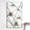 Intersect Wall Art W/Tillandsia