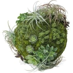 Moss Sphere With California Mix