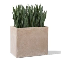 Sansevieria In Urbano Rectangle Planter -France and So Furniture hy8304 silo 1 635x635 73974786 3acf 4226 8d48 176bef4041a8
