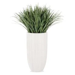 Liriope Grass In Linea Planter