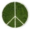 Green Wall Peace In Round