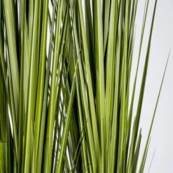 Century Grass In Rectangle Planter -France and So Furniture hy8520 38 alt2 635x635 1c68f8c4 9de8 4d1c b5ff ef471166a243