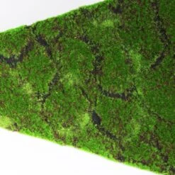 Green Wall, Triangle - Set Of 2 -France and So Furniture hy8636 44 detail6 635x635 af7e1d8d a870 49f3 be13 9e924e48f2d4