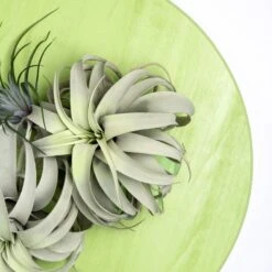 Green Wall, Urban Air Plants -France and So Furniture hy8652 gr alt2 1 635x635 50bd6f5d 0676 4b23 a33f e541fc841cee