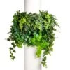 Green Wall - Column Hanging Garden