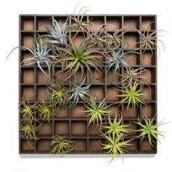 Green Wall, Pixelated Air Plants
