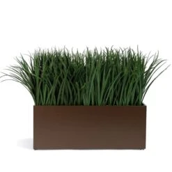 Grass, Liriope In Bronze Black Rectangle Planter
