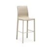 Sterling Bar Stool - Beige