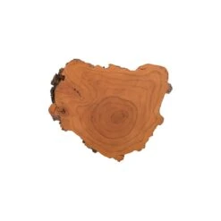 Nanos Root Wall Art, Small, Faux Bois Finish