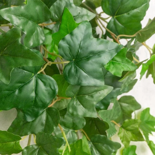 Ivy In Puddle Planter Grey 2 Ivy In Puddle Planter Grey - Image 2