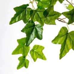 Ivy In Puddle Planter Grey 5 Ivy In Puddle Planter Grey -France and So Furniture pb9312 66 alt3 635x635 be2b8e70 f49b 463a a37c c27d93de9947