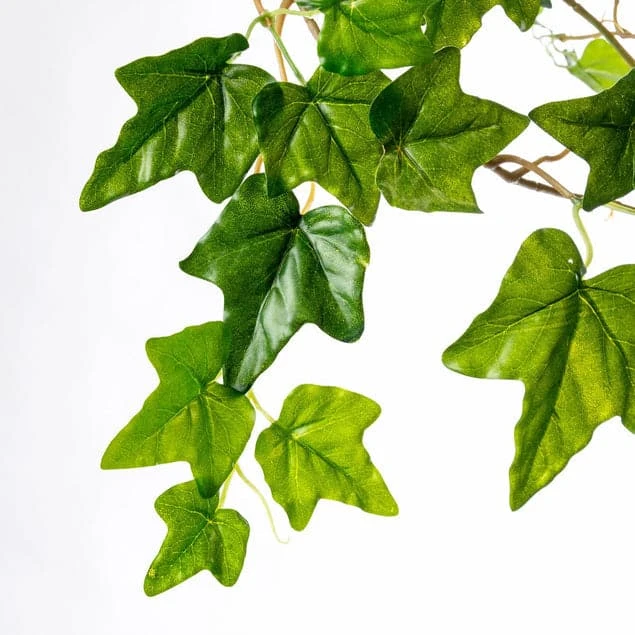 Ivy In Puddle Planter Grey 3 Ivy In Puddle Planter Grey - Image 3