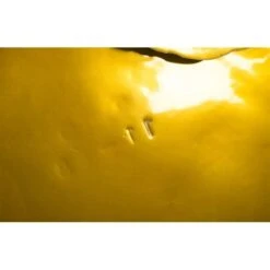 Copse Wall Discs -France and So Furniture ph67804 2